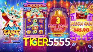 Cassino na plataforma TIGER5555